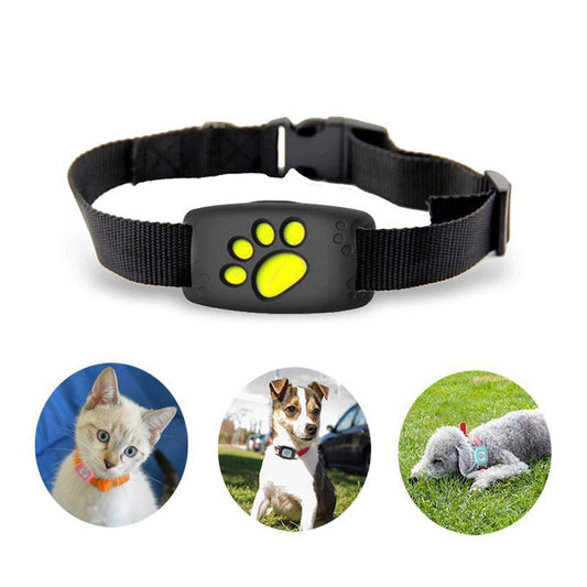 Smart GPS Katzenhalsband