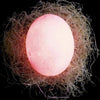 Image of 3D Dinosaur Egg Color Change Nightlight - Balma Home