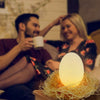 Image of 3D Dinosaur Egg Color Change Nightlight - Balma Home