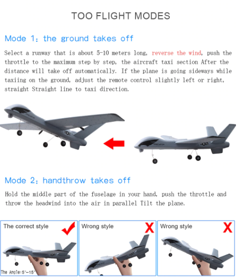 RC-Flugzeug | Ferngesteuertes Flugzeug Predator Z51