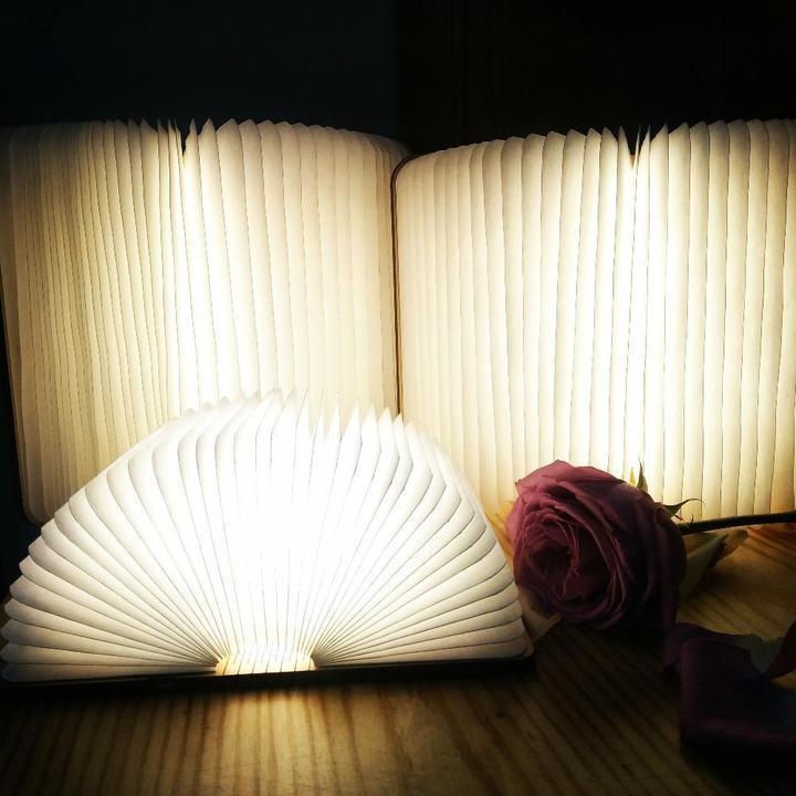 LED-Buchlampe (zusammenklappbar) im Lumio-Stil!